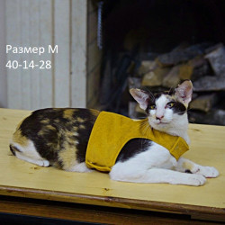 Шлейка для активных кошек цвет горчица размер M 