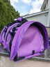 Сумка-переноска для двух кошек кошек "Профи" 2.0  Лиловая