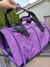 Сумка-переноска для двух кошек кошек "Профи" 2.0  Лиловая